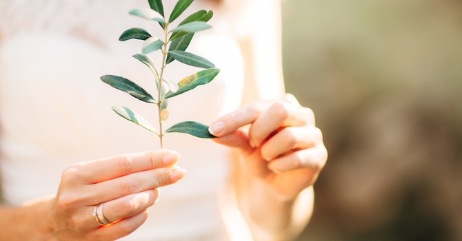 Low-Cost Counselling