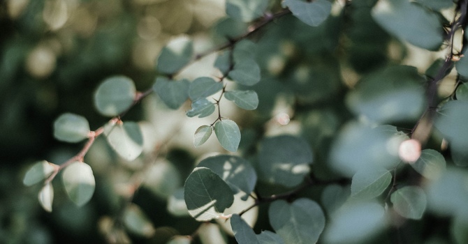 New Here? This is where you start - Book your Free consultation