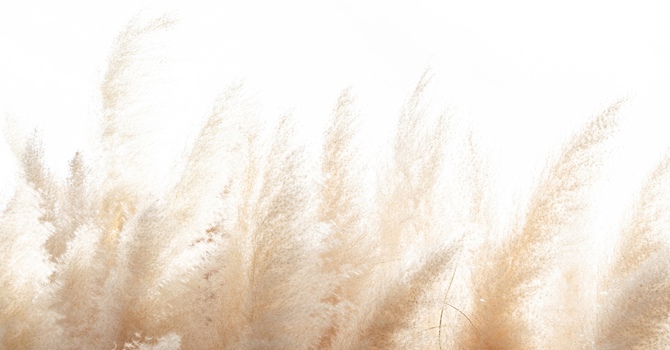 Counselling for Relationships or Families